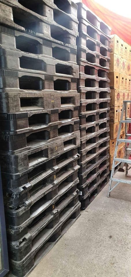 1200 × 1100 Heavy Duty Plastic Pallets - Seattle WA 98105