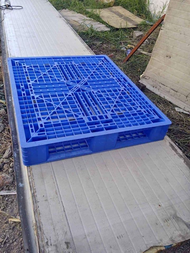 Used 43" x 43" Plastic Shipping Skids - Rupert ID 83350