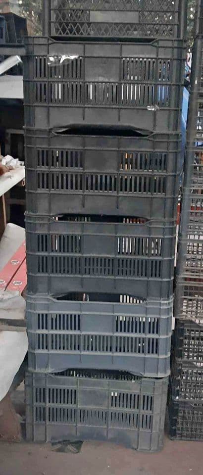 Produce Plastic Crates - Chicopee MA 01020