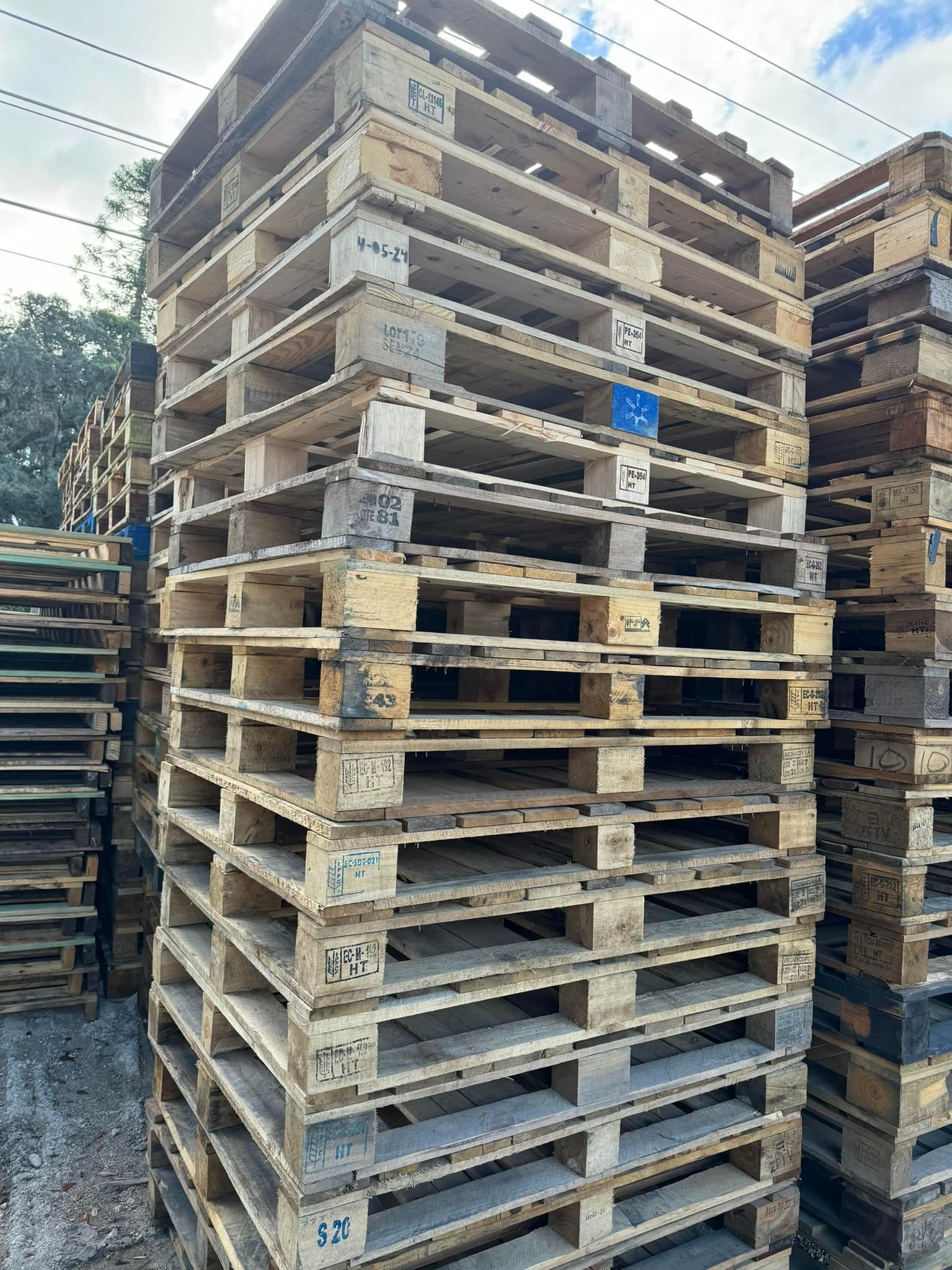 Used 48 x 40 Wood Block Pallets - Lakeland, FL 33801