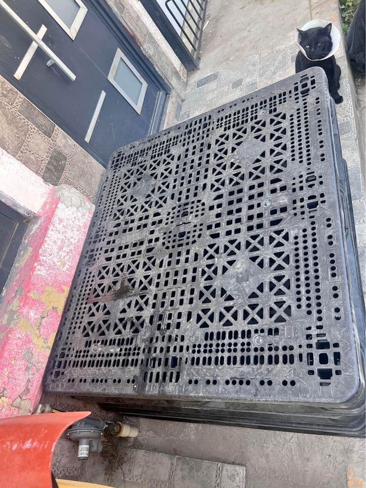 43.3×43.3 Rackable Used Plastic Pallets - Park City UT 84098