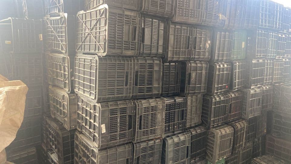 Used Plastic Crates - Honolulu HI 96818