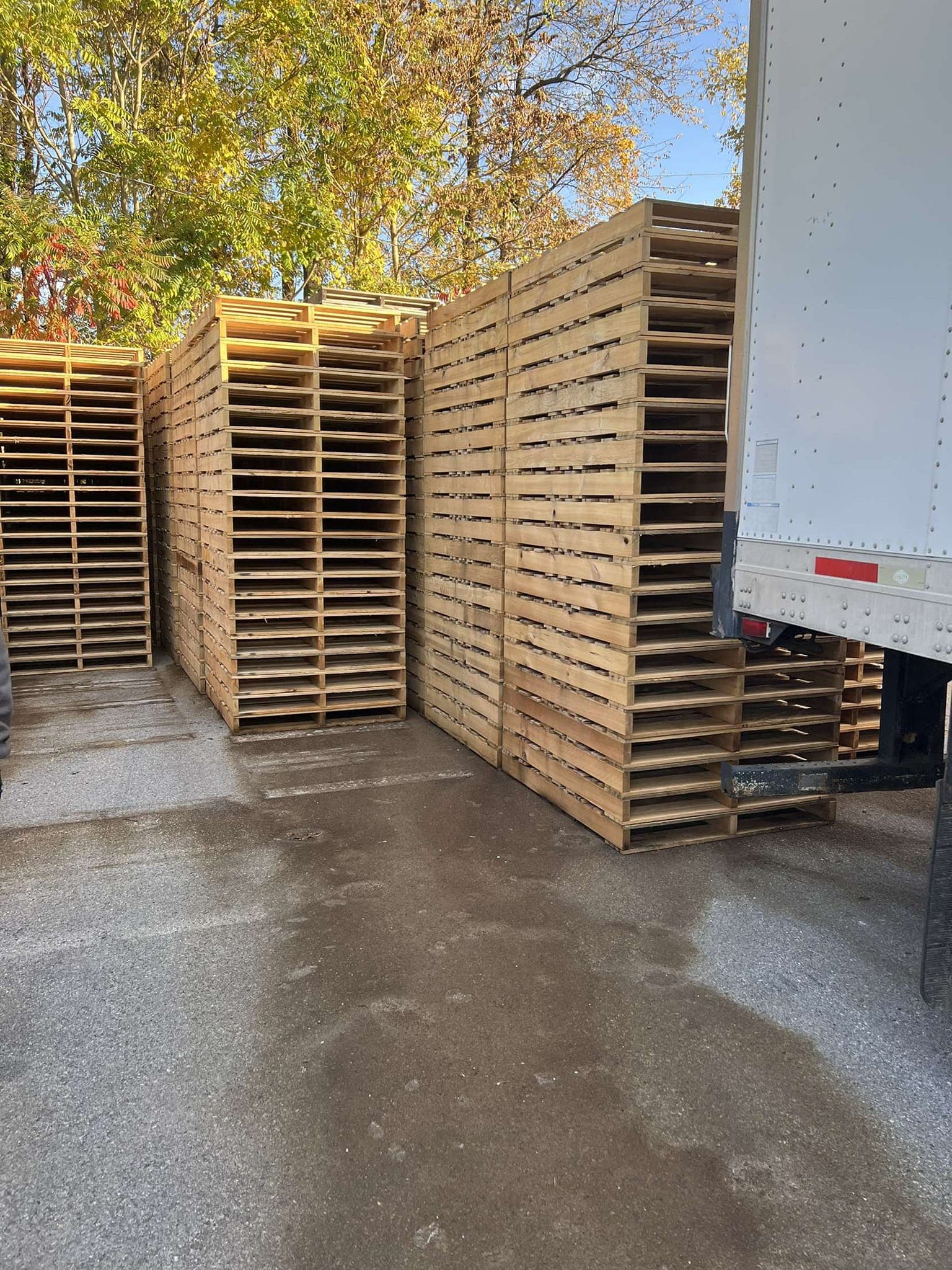 New 48 x 40 Wood Pallets - Grangeville, ID 83530