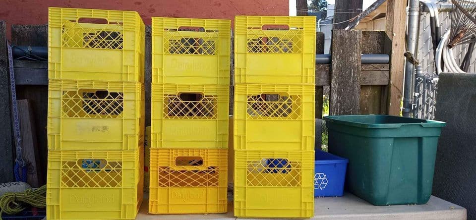 Used Plastic Crates - Dover DE 19904