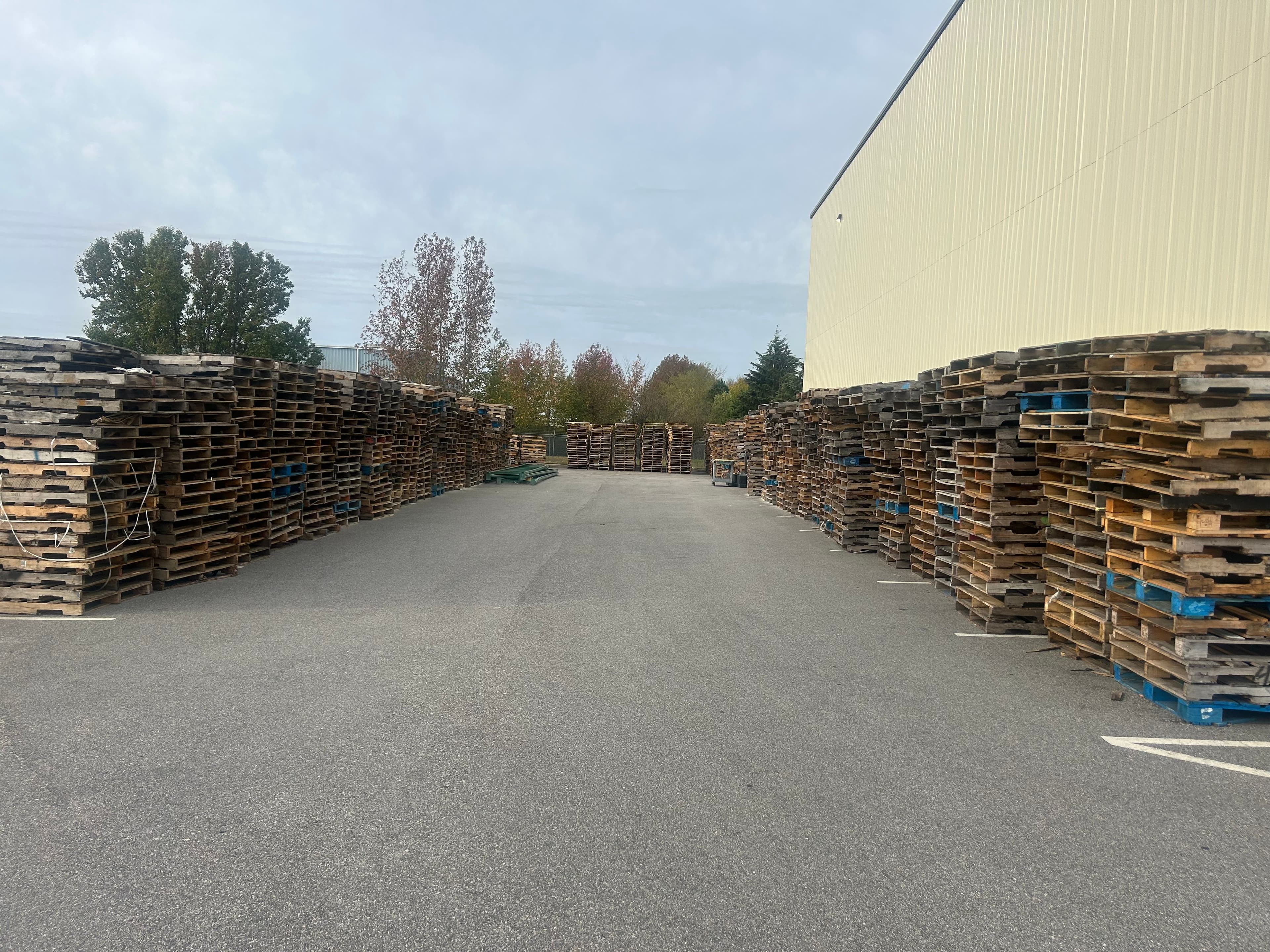 Used 48x40 Wooden Pallets - Norfolk, VA  23502