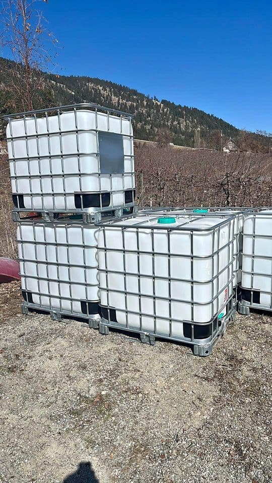 Used 275 Gallon Food Grade IBC Totes - Chicopee MA 01013