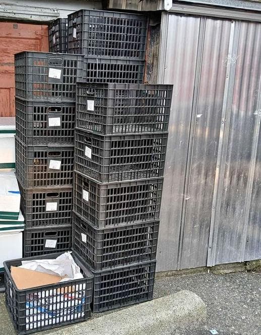 13"x13"x11" Plastic Crates - Monticello AR 71655