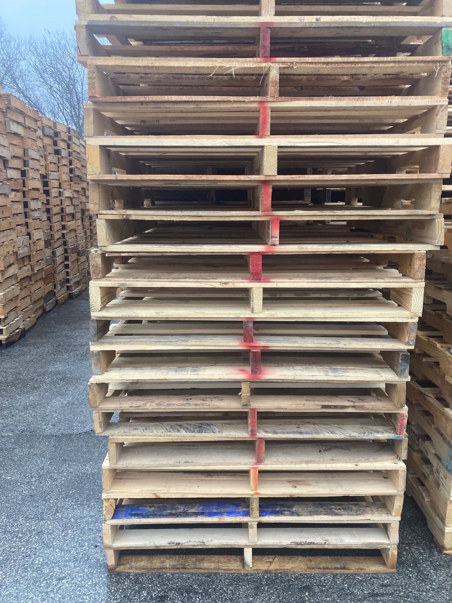 Used 48 x 45 Wood Pallets - Houston, TX 77079