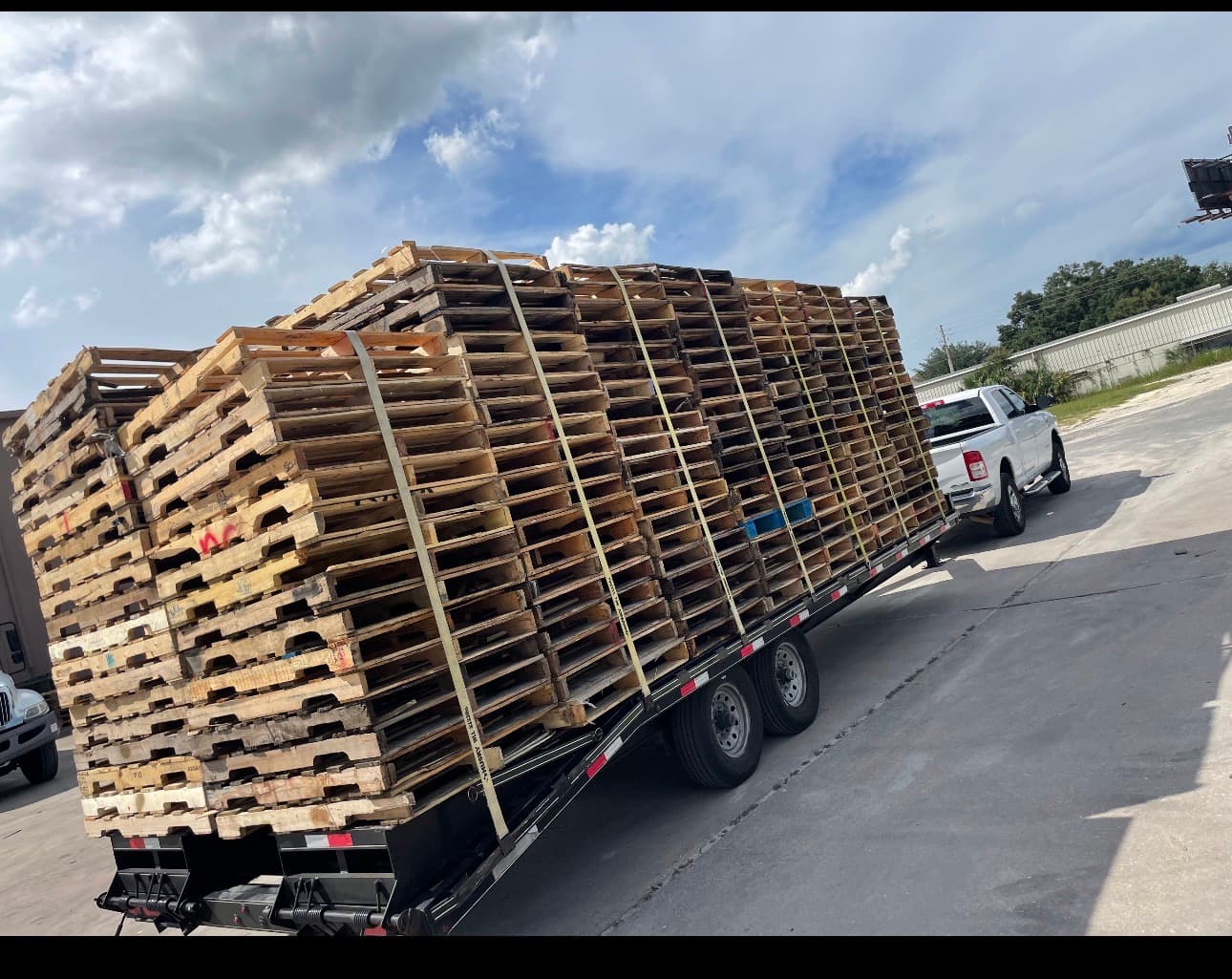 Grade B Pallets - Citra, FL 32113