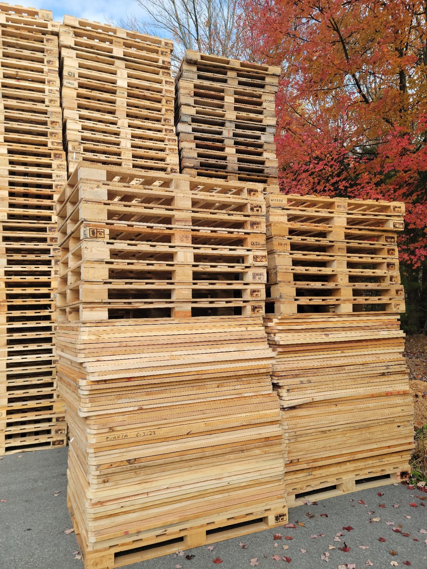Like New Hardwood 9 Block Pallets - San Antonio TX 78228