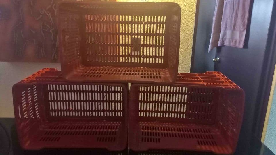 55x37 Used Produce Crates - Charleston SC 29403