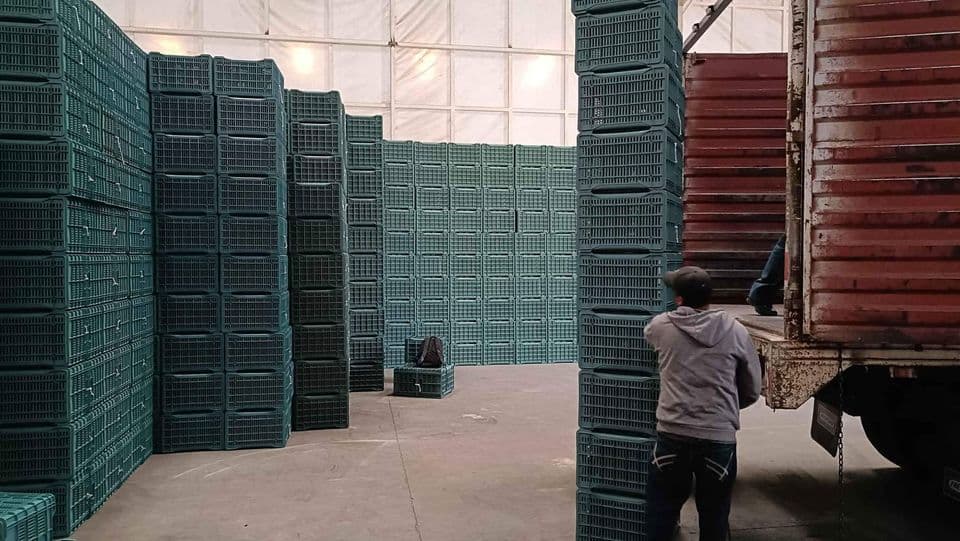 Used Stackable Crates - Baton Rouge LA 70808