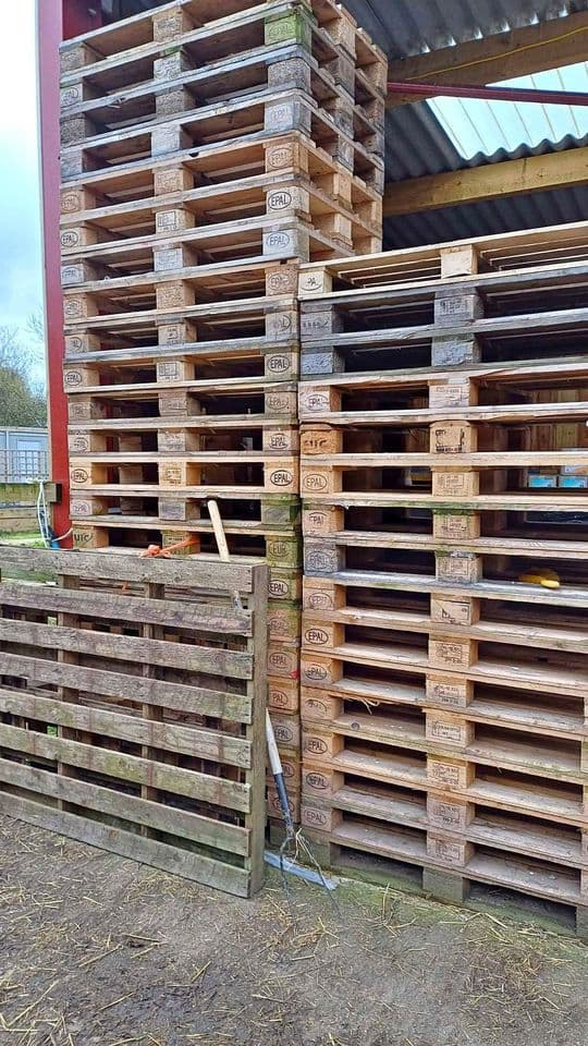 800 x 1200 Used 4-Way Euro Pallets - Kenosha WI 53142
