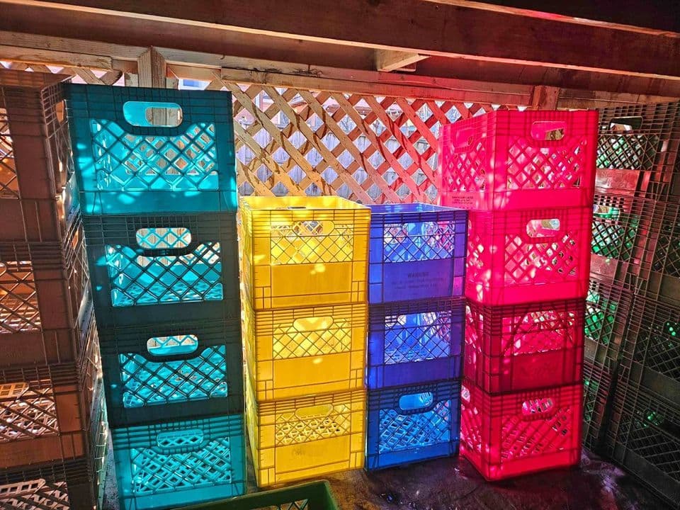 13x13x10 Used Milk Crates - Rapid City SD 57703