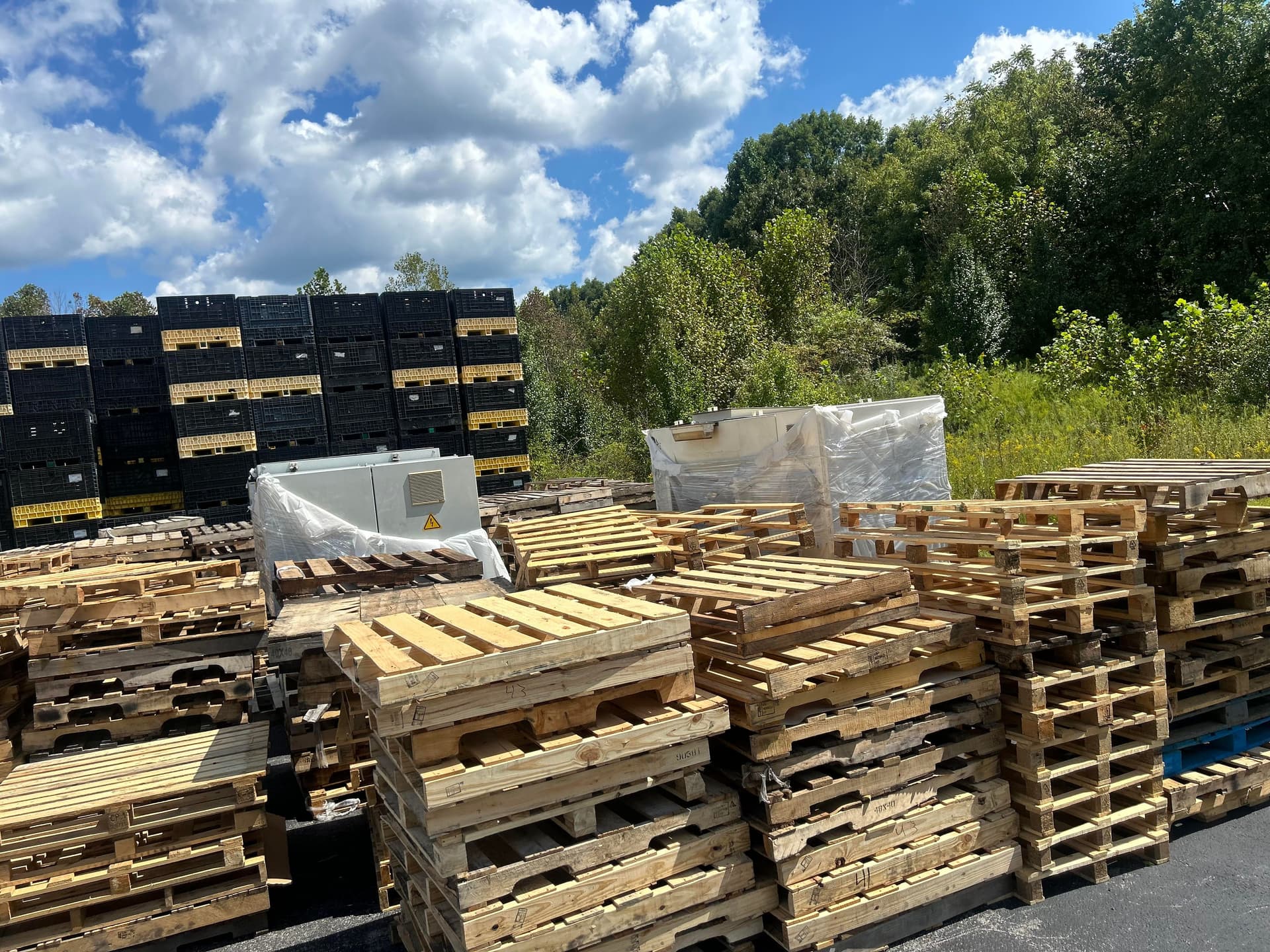 Used 48x40 Wooden Pallets - Fargo, ND 58047