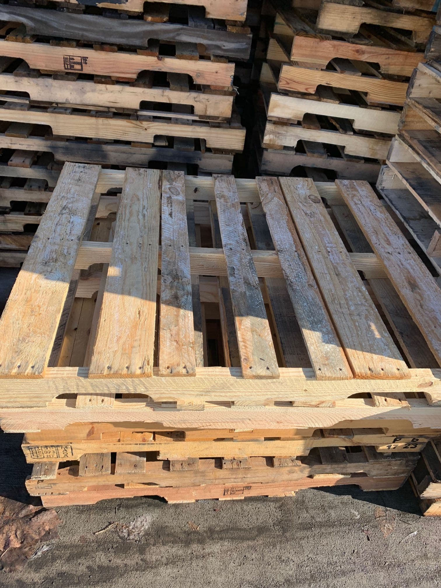 48 x 40 Wooden Pallets Cores - Bridgeport, CT 06608