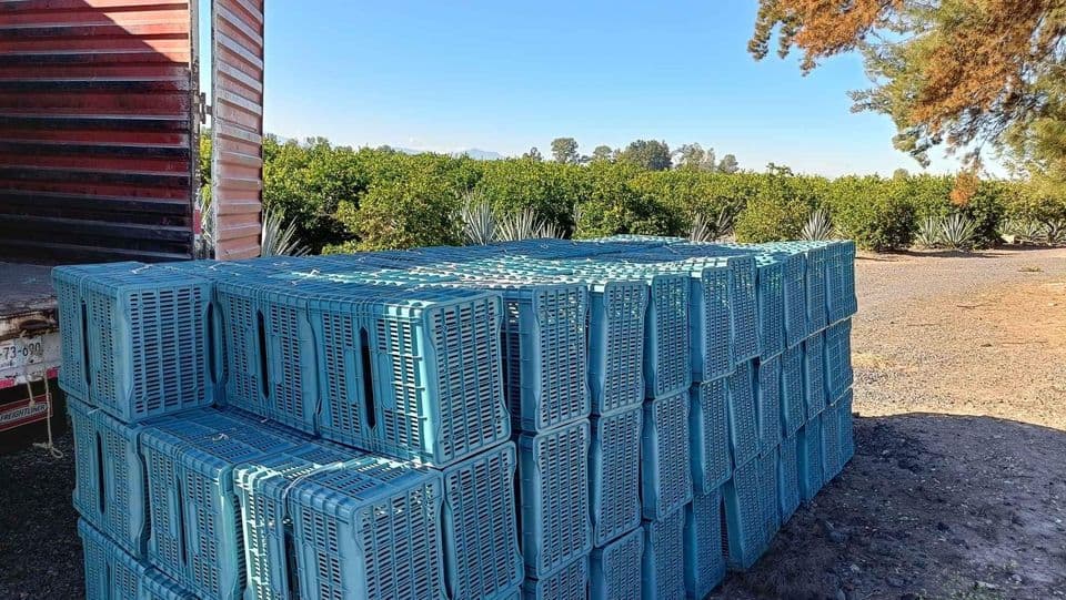 Reusable Plastic Containers - Springfield MA 01108