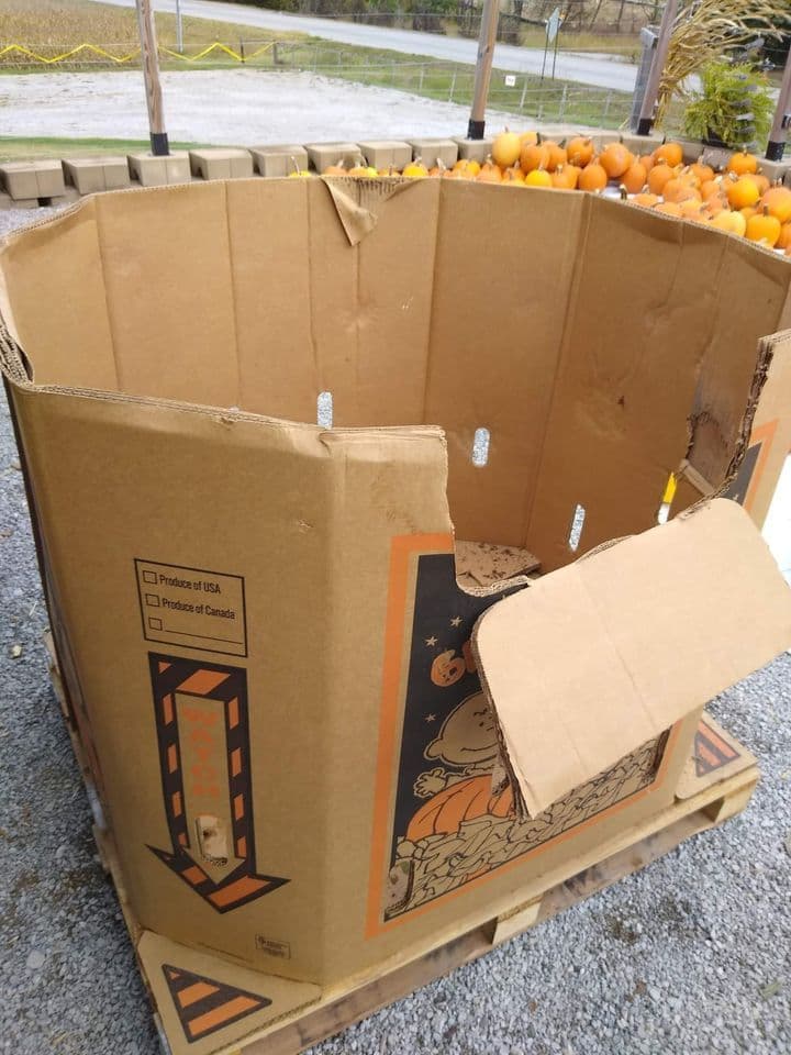 Used Gaylord Pumpkin Boxes 48 x 40 x 51 - Ewa Beach HI 96706