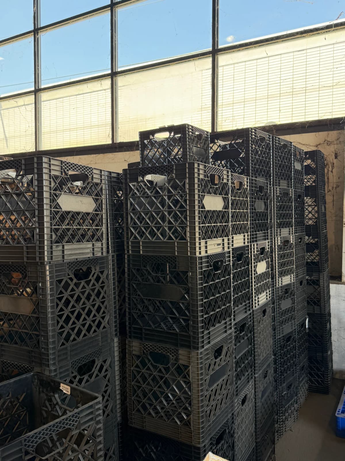 Like New 14.5x14.5x15 Plastic Crates