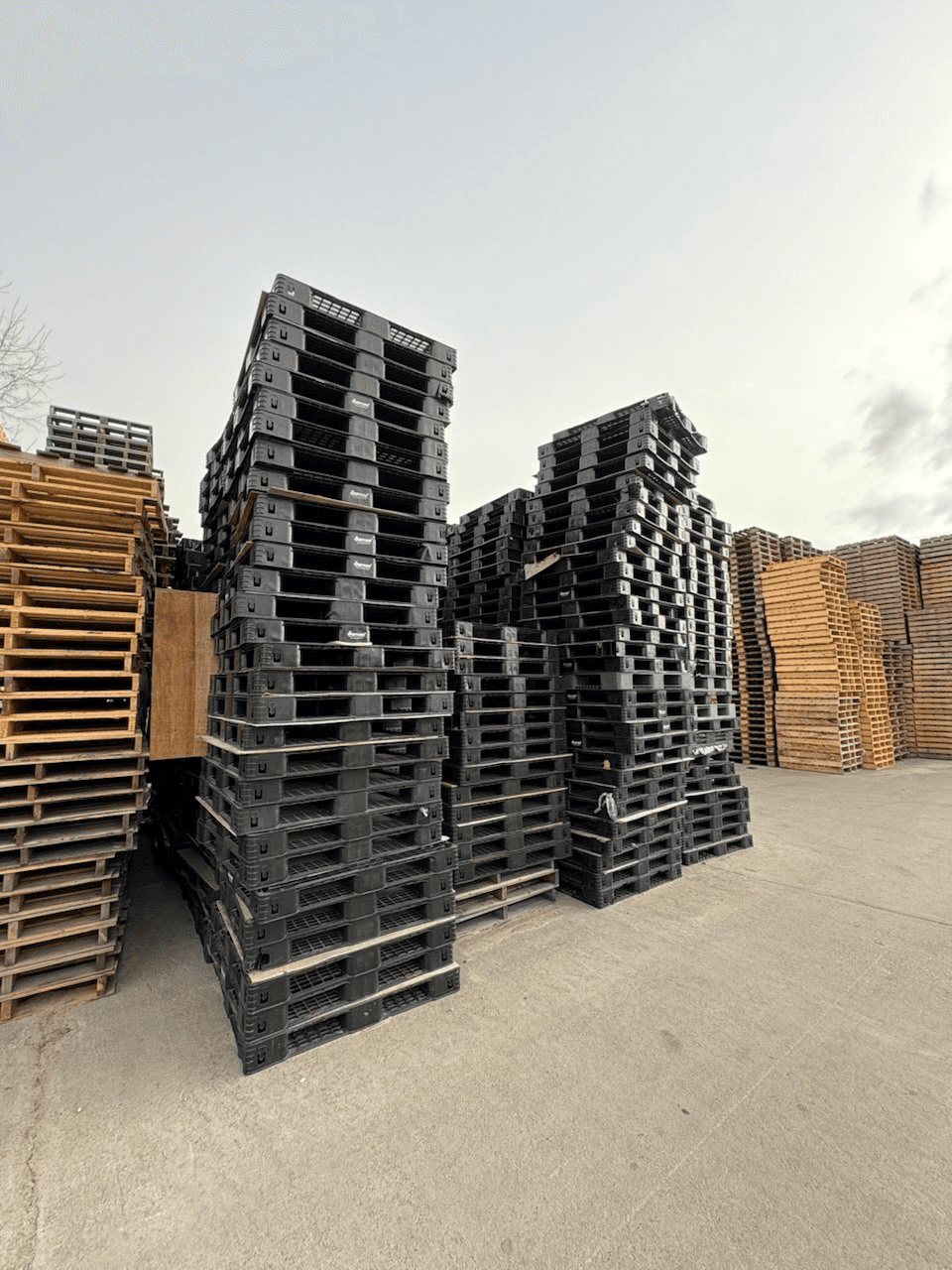 Used 43 x 43 Rackable Plastic Pallets - Pasadena, TX 77586 - Image 2