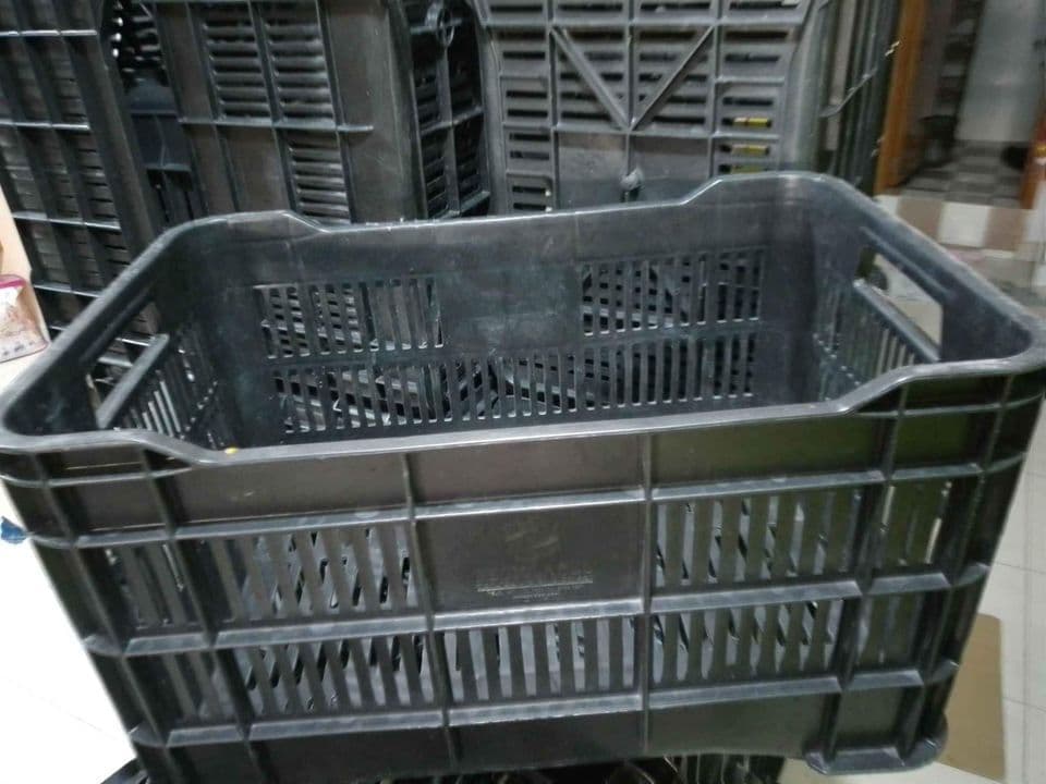 50x34x28 Plastic Produce Crates - Providence RI 02909