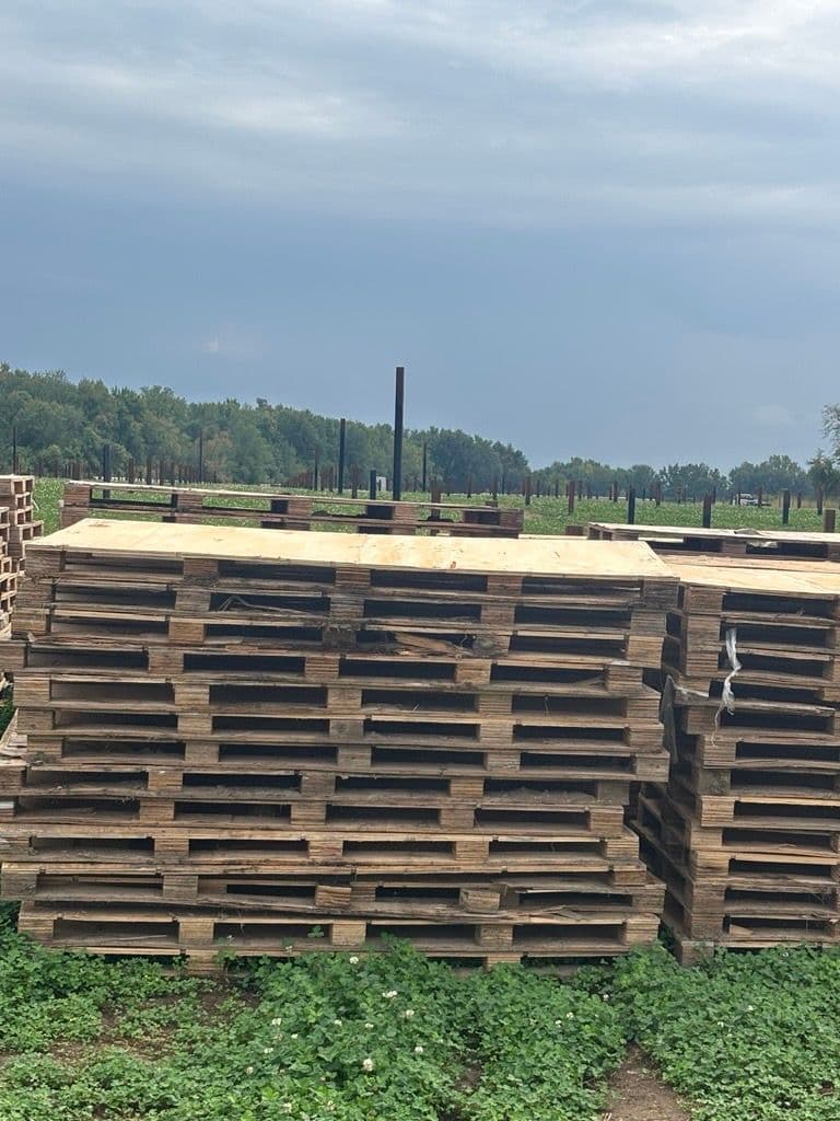 Used Solar Panel Pallets - Coldwater, MI 49036