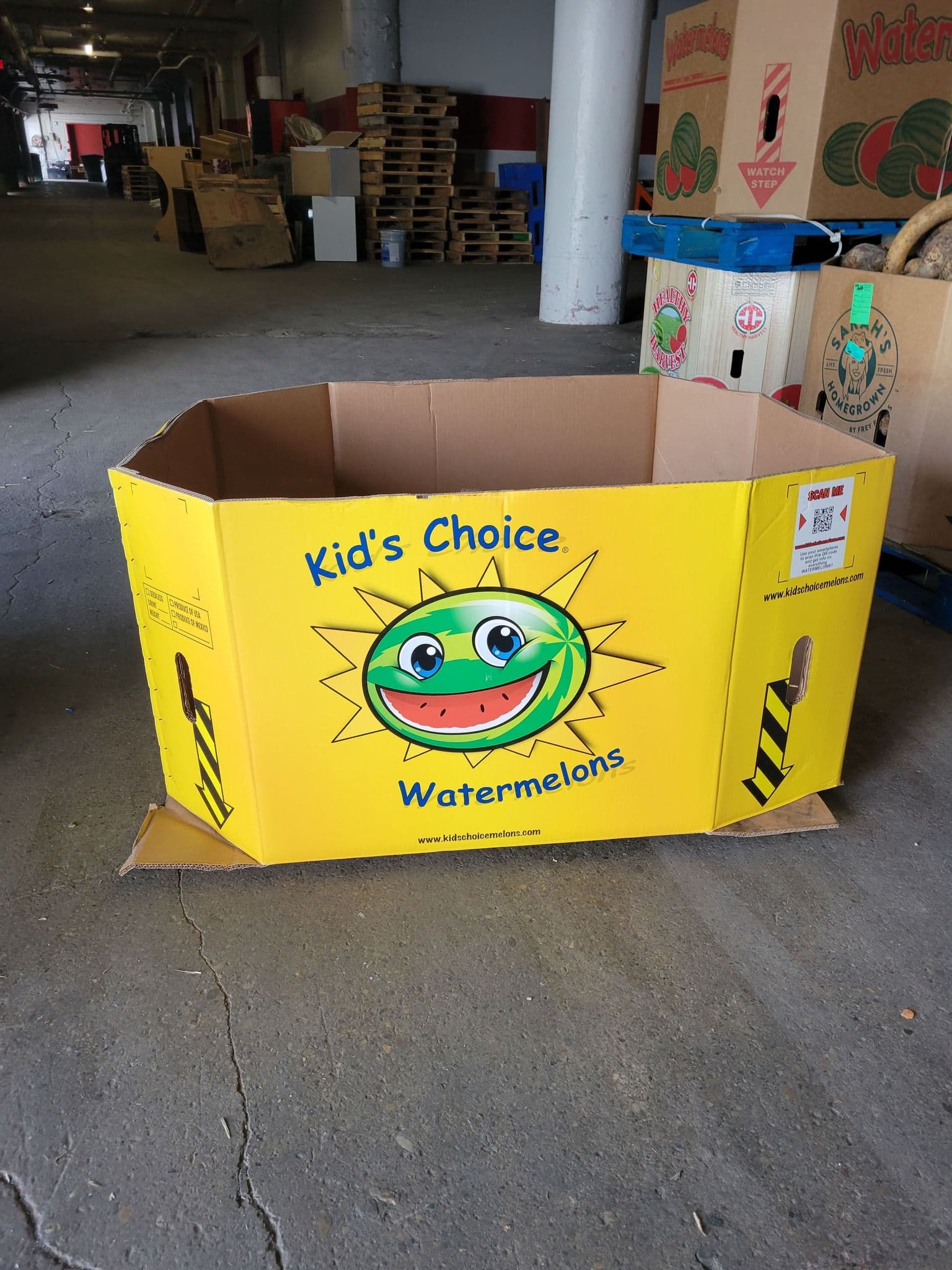 Single 48 x 40 x 24 Used Watermelon Box