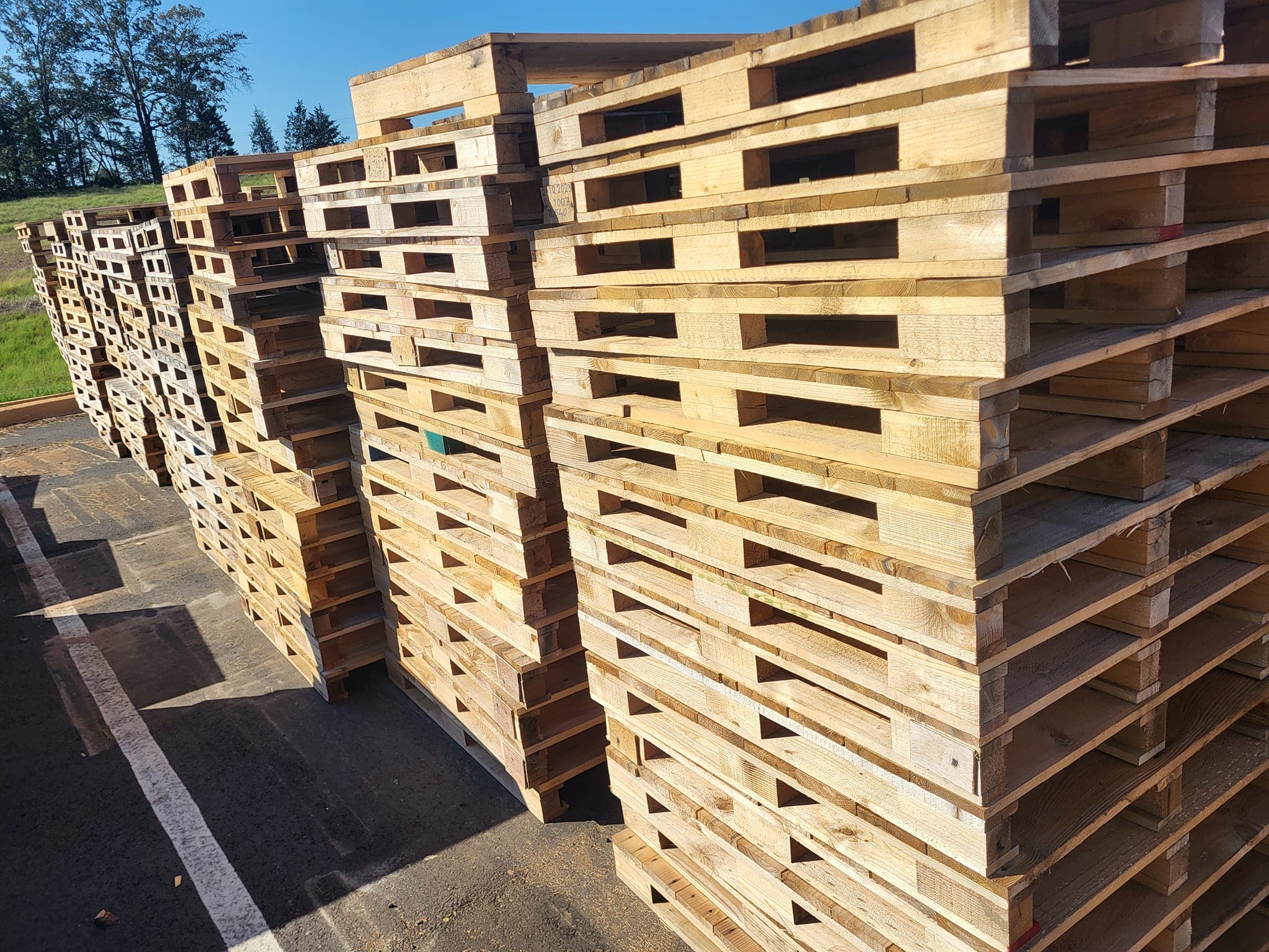 HT Used Block 48 x 40 Wooden Pallets - Bear DE 19701