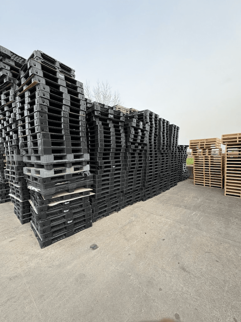 Used 43 x 43 Rackable Plastic Pallets - Pasadena, TX 77586