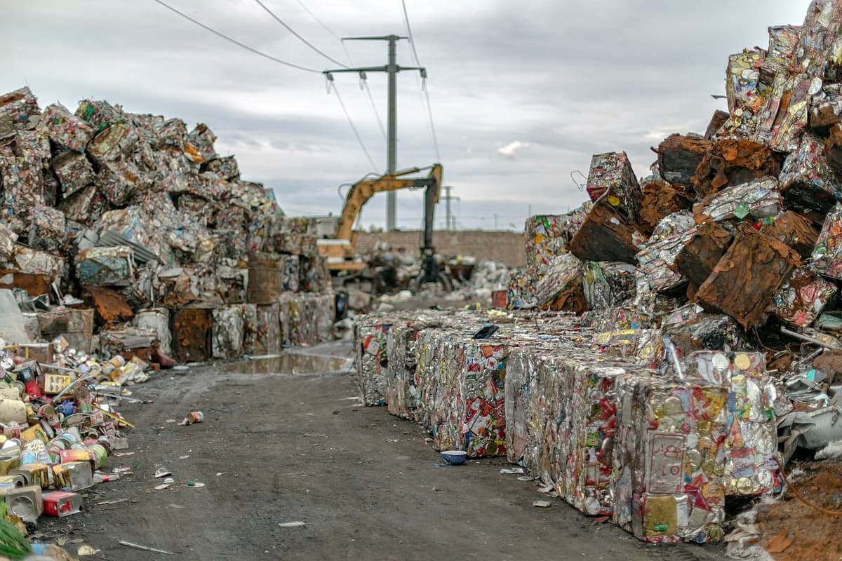 Is a Cardboard Baler the Right Investment for Your Business