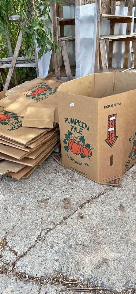 Used Bulk Pumpkin Boxes - Stafford, VA 22554