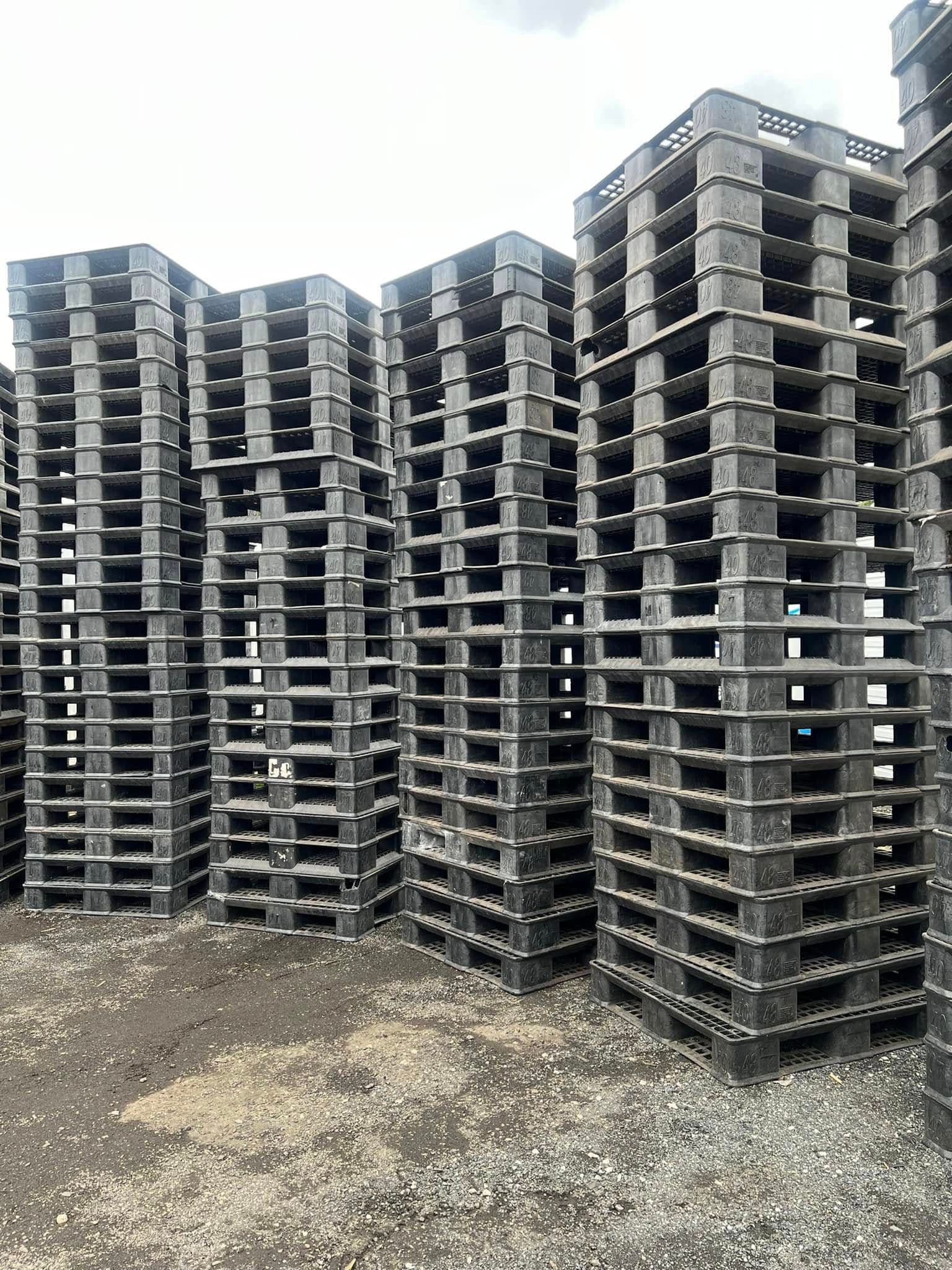 43 x 43 Used Plastic Export Pallets - Idaho Falls ID 83401