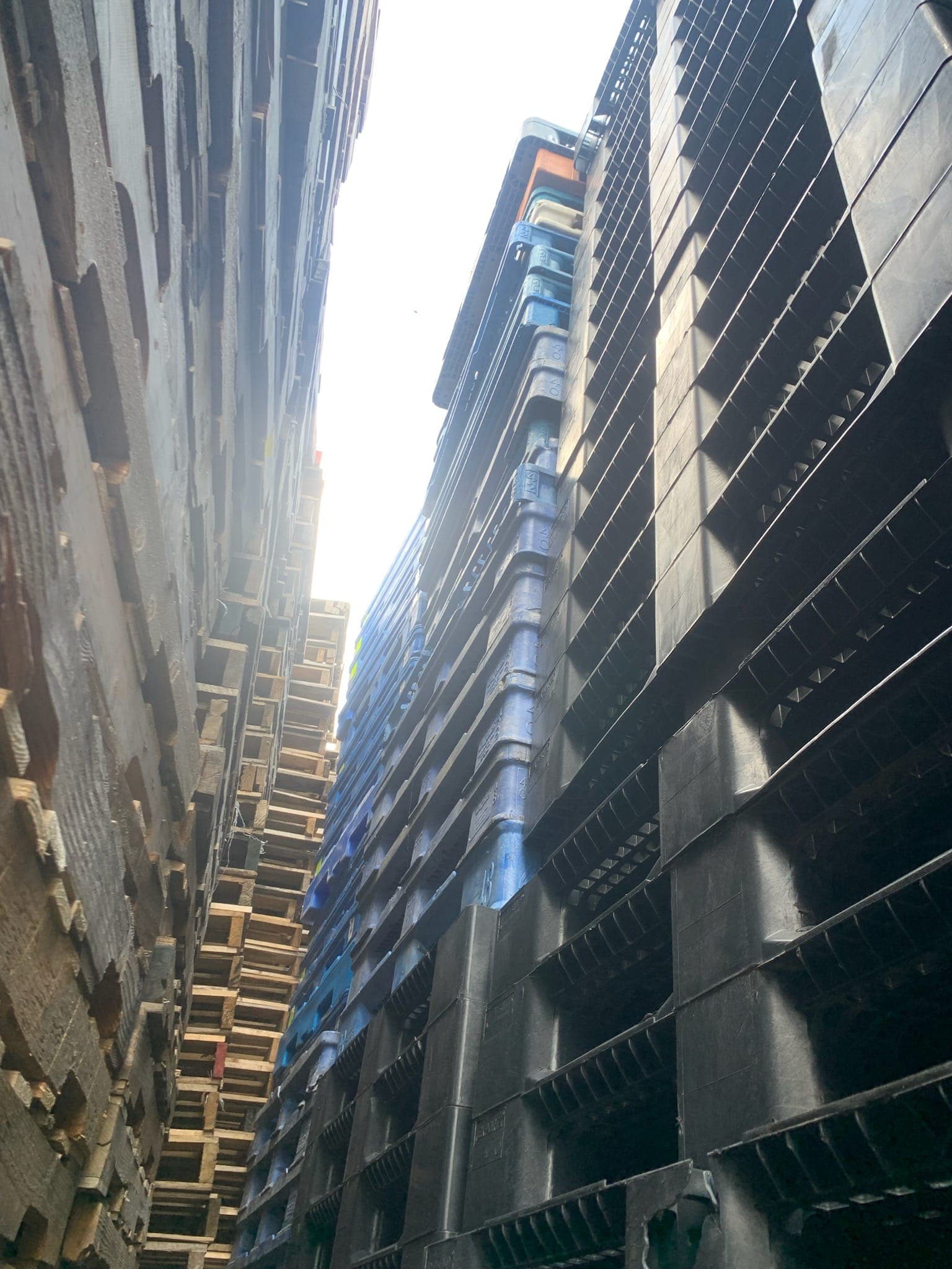 48 x 40 Used Plastic Export Pallets - Greeley CO 80634