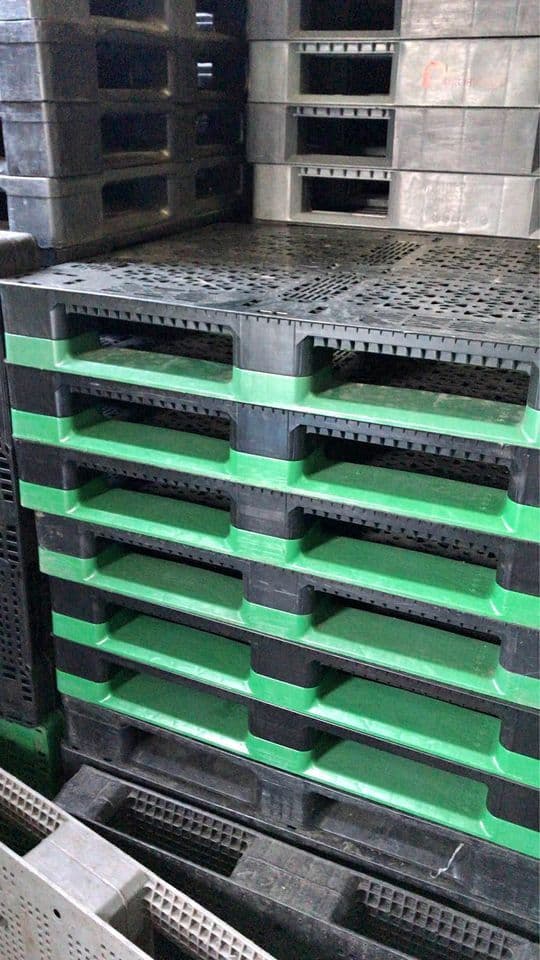 Used 48" × 40" CBA Plastic Pallets - Martinsburg WV 25404