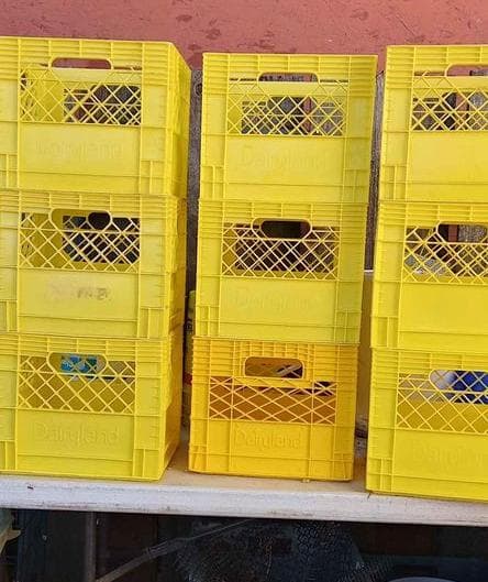 Used Plastic Milk Crates - Daytona Beach FL 32124