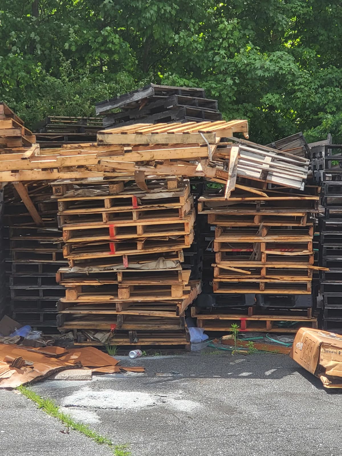 Combo Pallets - Bluefield, WV 24701