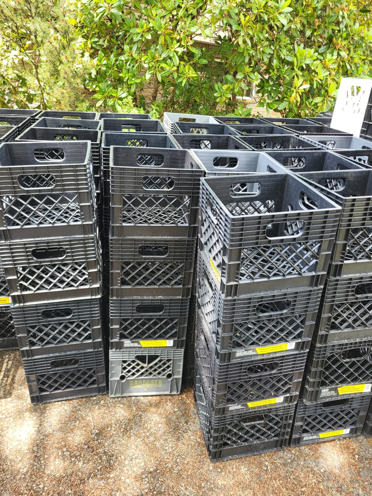 Like New 13x13x11 Plastic Crates