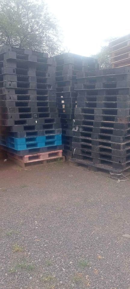 48 x 40 Plastic Used Shipping Export Pallets - Honolulu HI 96817
