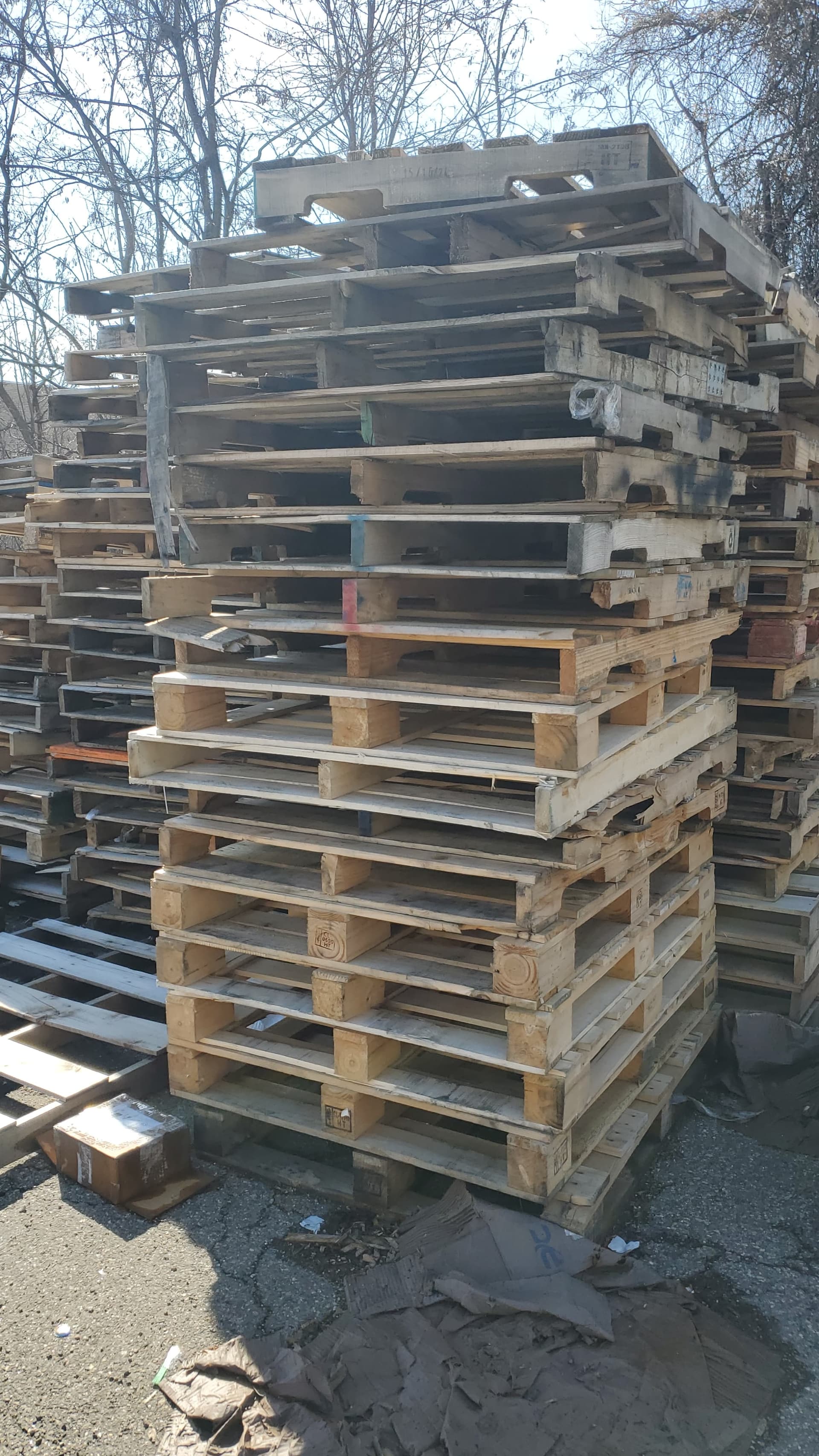Grade A 48x40x6 Pallets - Philadelphia, PA 19140
