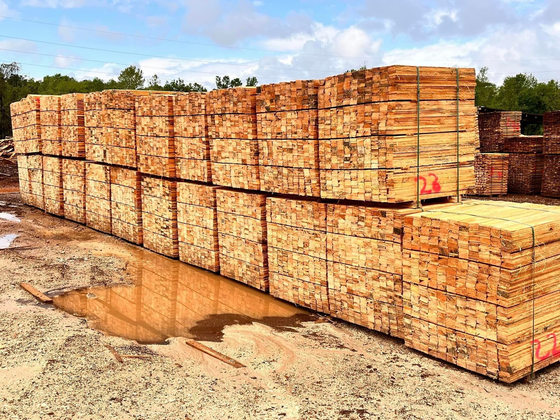 0.5x3.5x40 inch Pine Deck Boards - Renton WA 98056