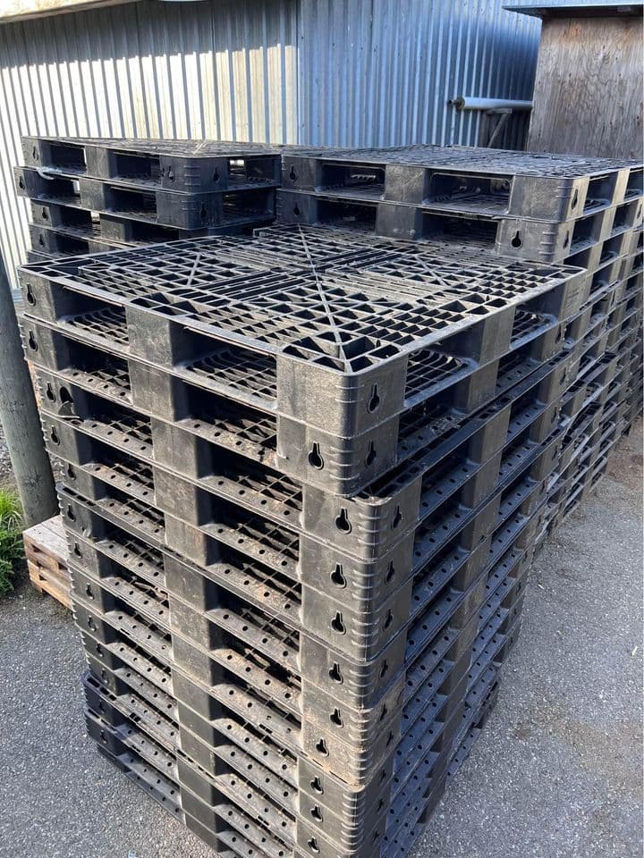 43 × 43 Used Plastic Pallets - Peoria AZ 85382