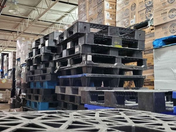 800 × 1200 Euro Plastic Pallets - South Bend IN 46614
