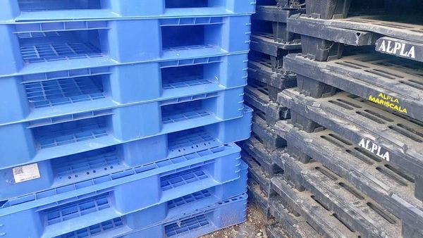 43 x 43 Blue Plastic Rackable Pallets - Reidsville NC 27320