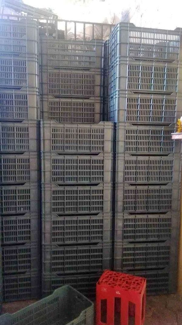 Used Plastic Collapsible Shipping Crates - Hopkinsville KY 42240